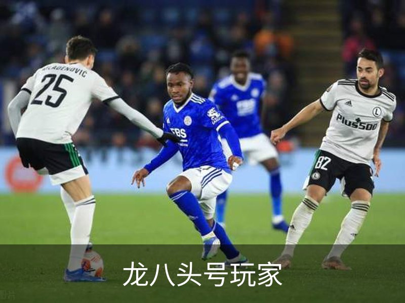 关于龙八头号玩家